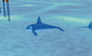 自分の島を持てるSNSオンラインゲーム ntomo(エヌトモ)